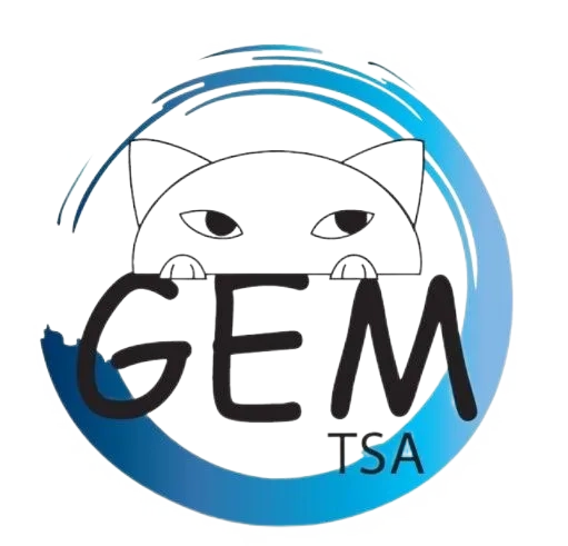 GEM TSA 63